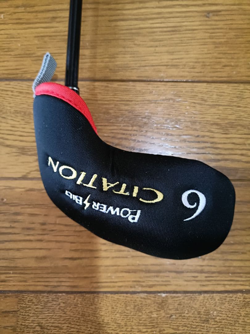 パワービルトPowerBilt CITATION V1 アイアンウッド2本セット