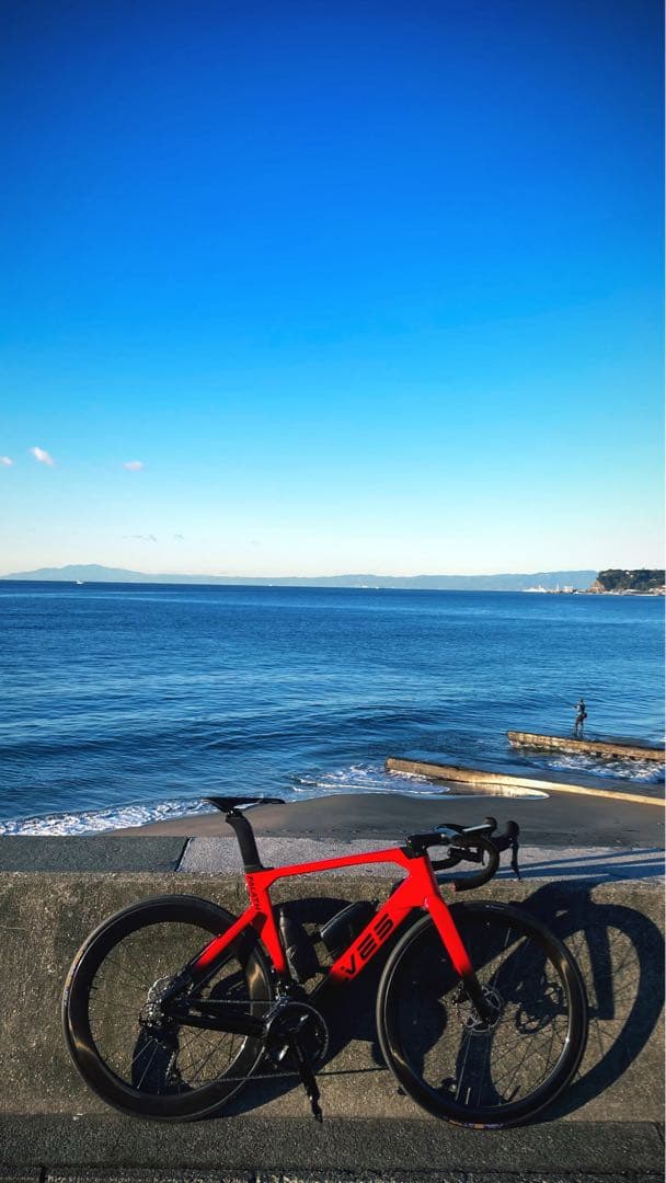 自転車本体 ELVES Falath EVO +