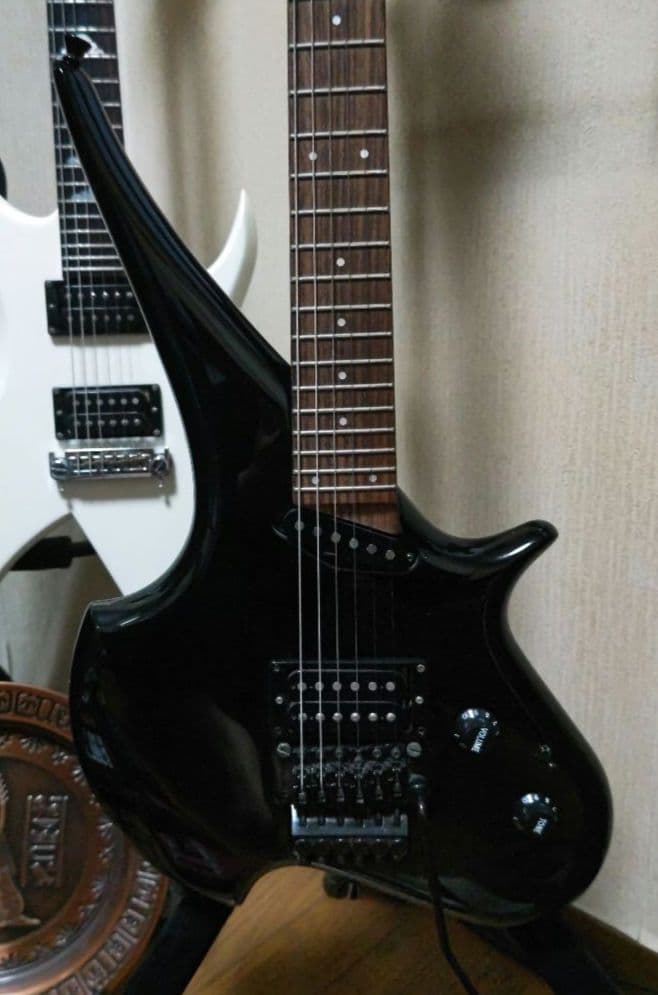 ギター SOMNUS by TUNE TG-120SX