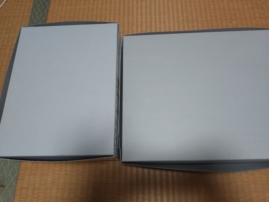 MGウイングガンダム Ver.Ka & アルトロンガンダム（ナタク） セット