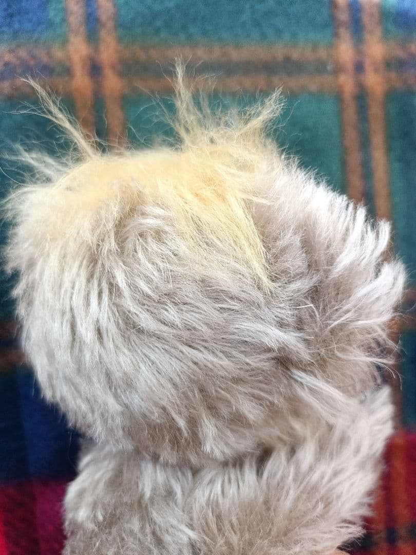 MERRYTHOUGHT メリーソート　パンキーロニー　75体限定品