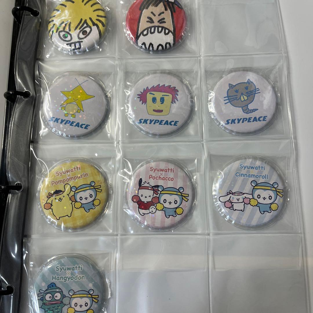 スカイピースグッズ(写真に写ってるもの➕生写真、トレカあります)