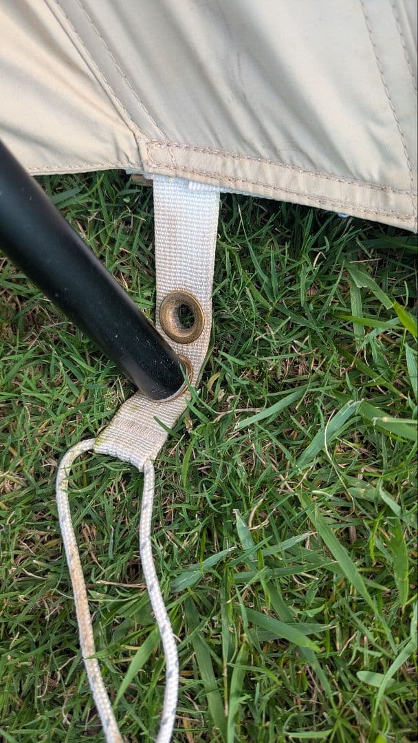 【週末特価】フリースピリッツ　ヨトプラス　70D ベージュ