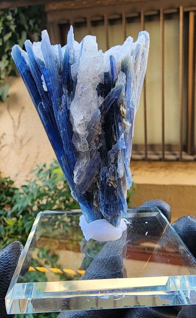 ブラジル・ミナスジェライス州産　極上ブルーカイヤナイト 原石 結晶　クォーツ共生