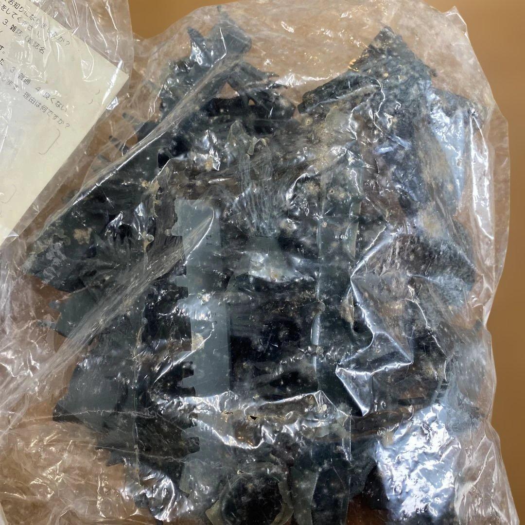 ⑬ゴジラ 2000年 ミレニアム 1/144☆原型製作　茨木彰