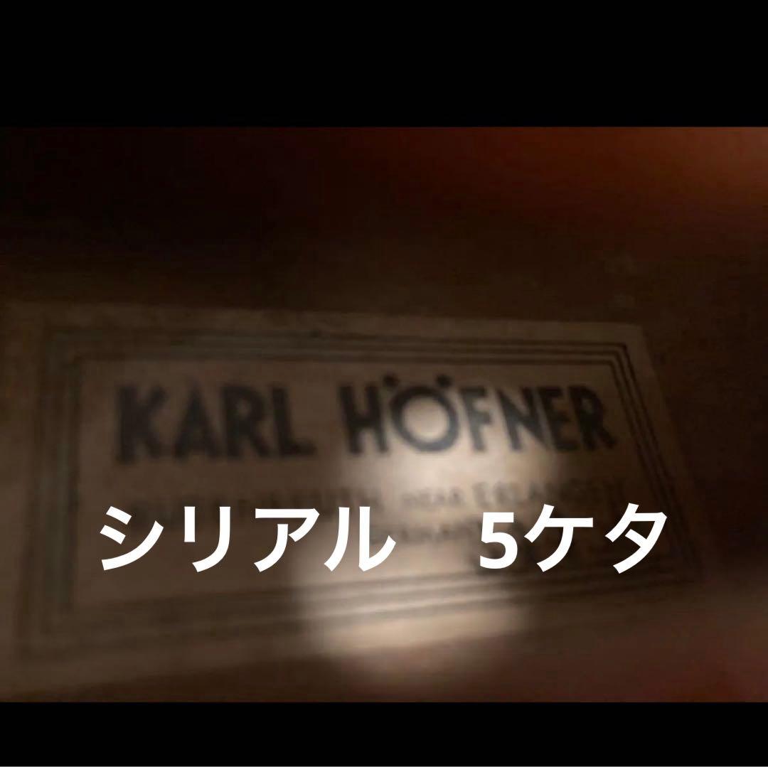 カールヘフナー　4/4 バーズアイ(鳥目杢)