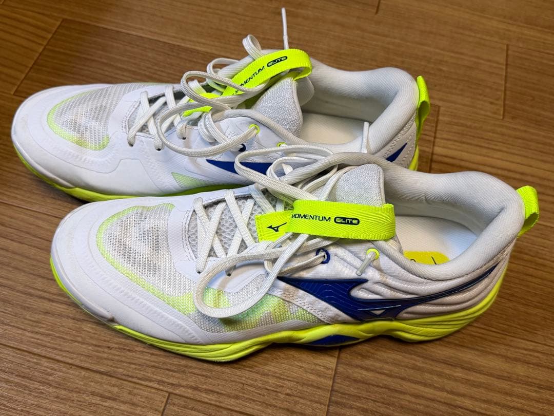 Mizuno モーメンタムエリート バレーボールシューズ 27.5cm