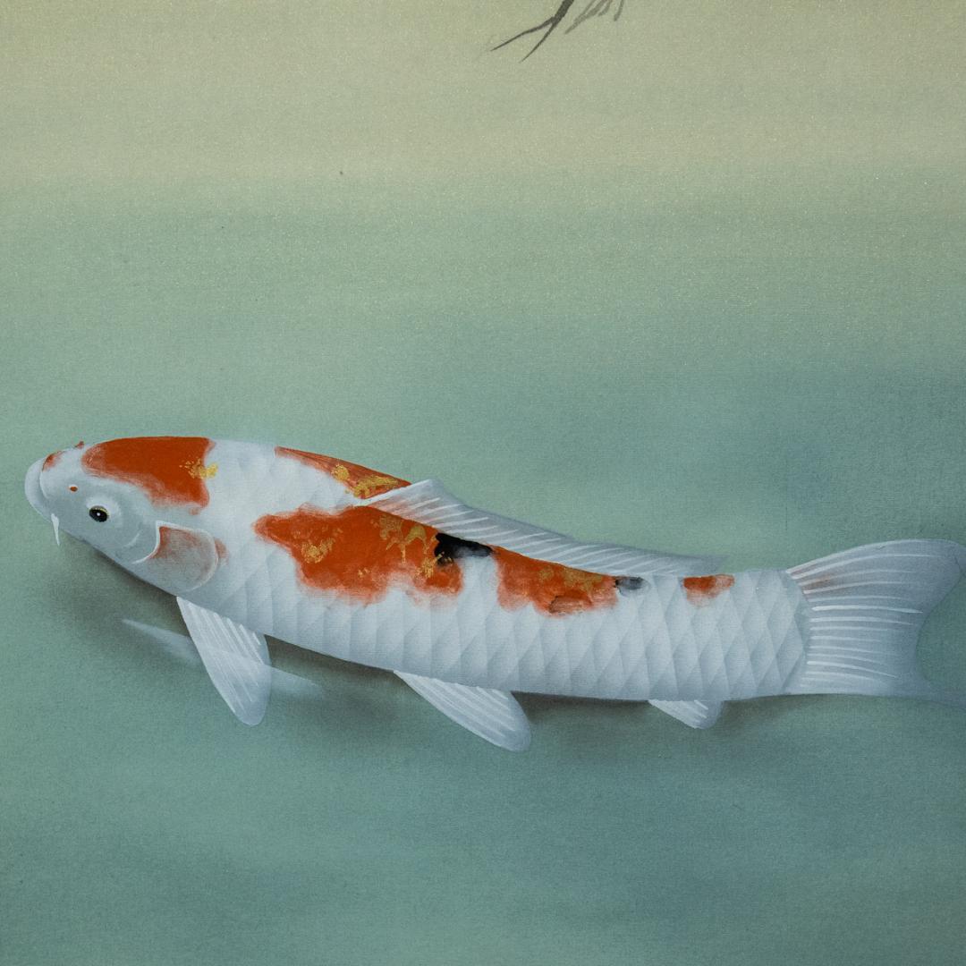 掛軸-1510　岡本珠洸　画　游鯉　共箱　鯉の名手