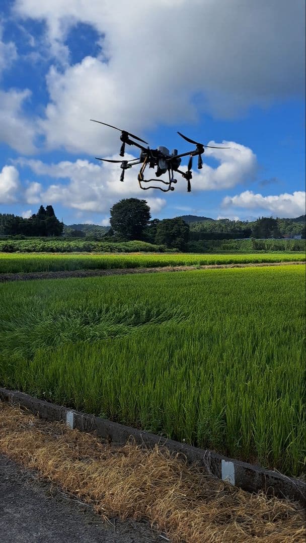 いちごさん専用