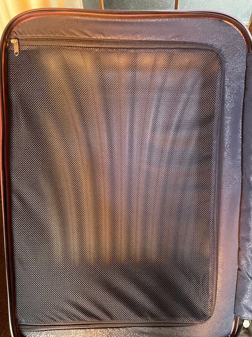 サムソナイト コスモライト トラベルバッグ/ハンドバッグ
