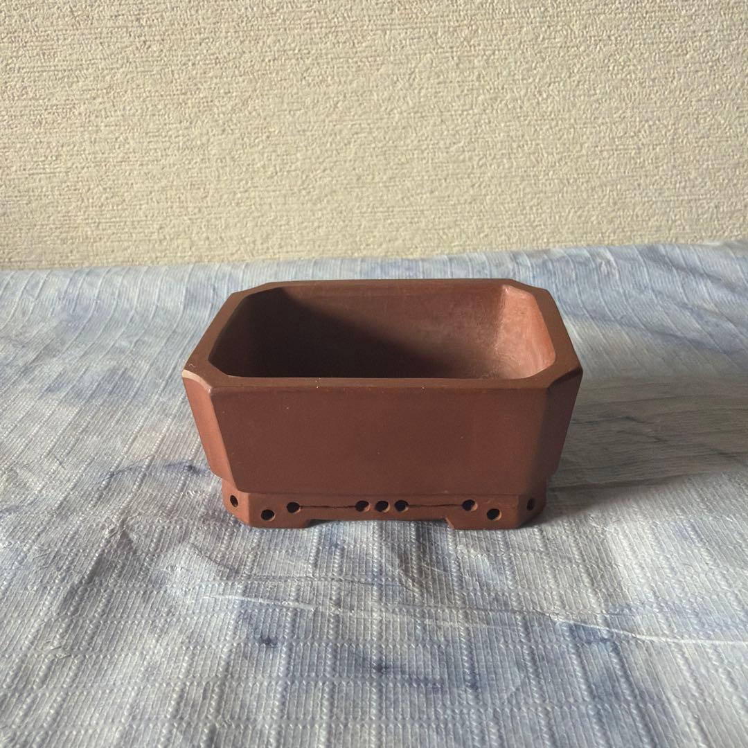 中国宜興　植木鉢　朱泥　中国　China 盆栽