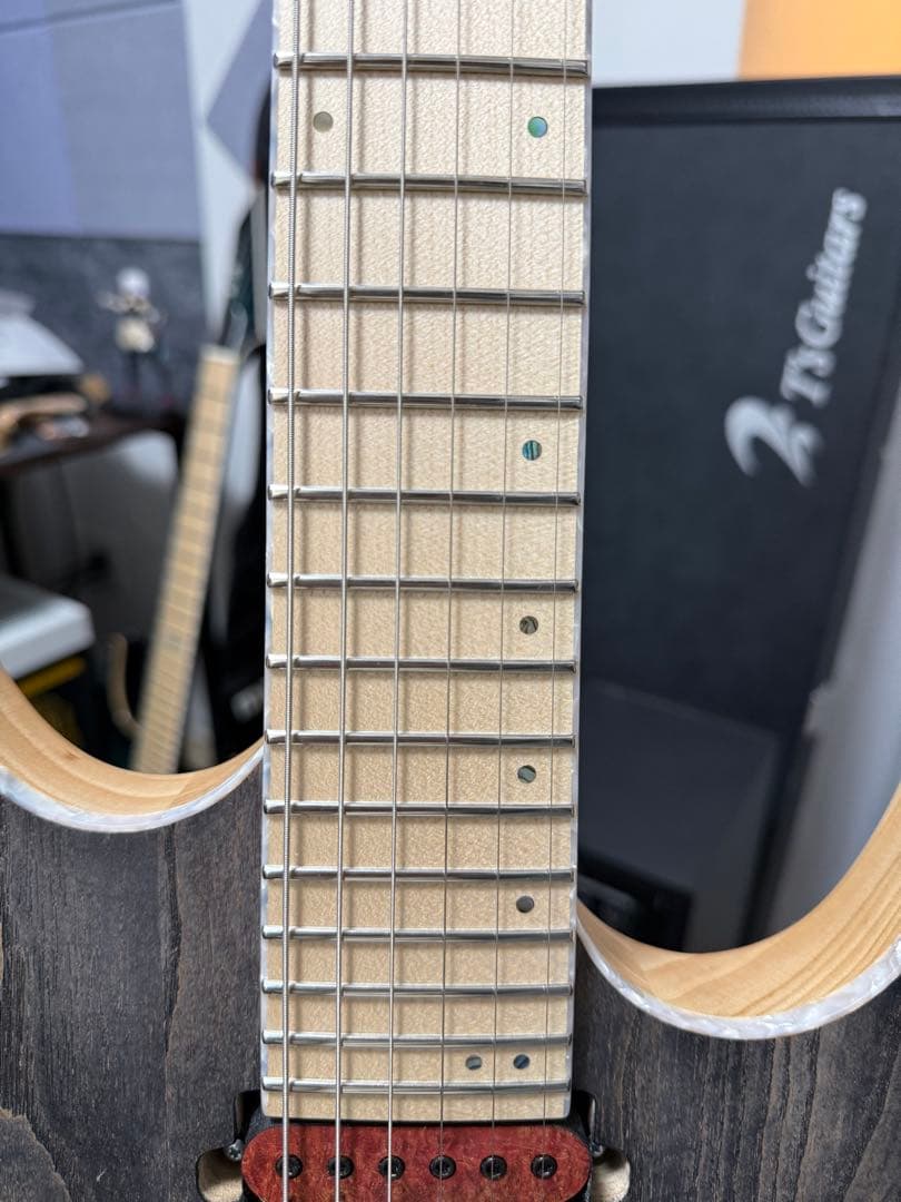 ギター Skervesen Velociraptor 6 2023