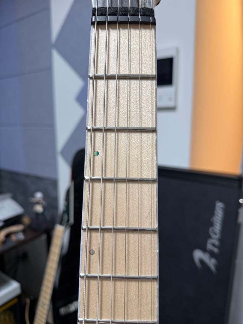 ギター Skervesen Velociraptor 6 2023