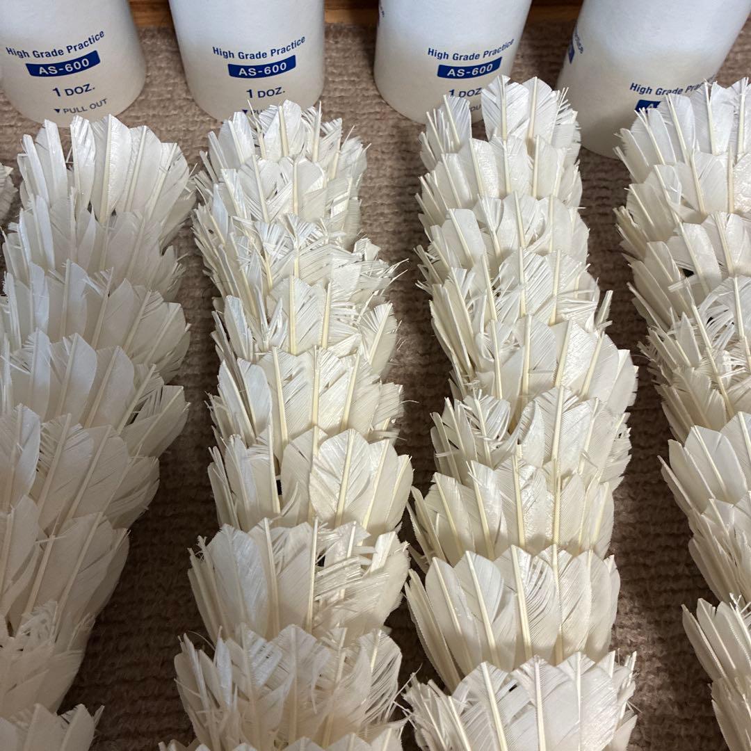 送料無料　バドミントン　羽　120個　10本　YONEX　600 3番　4番