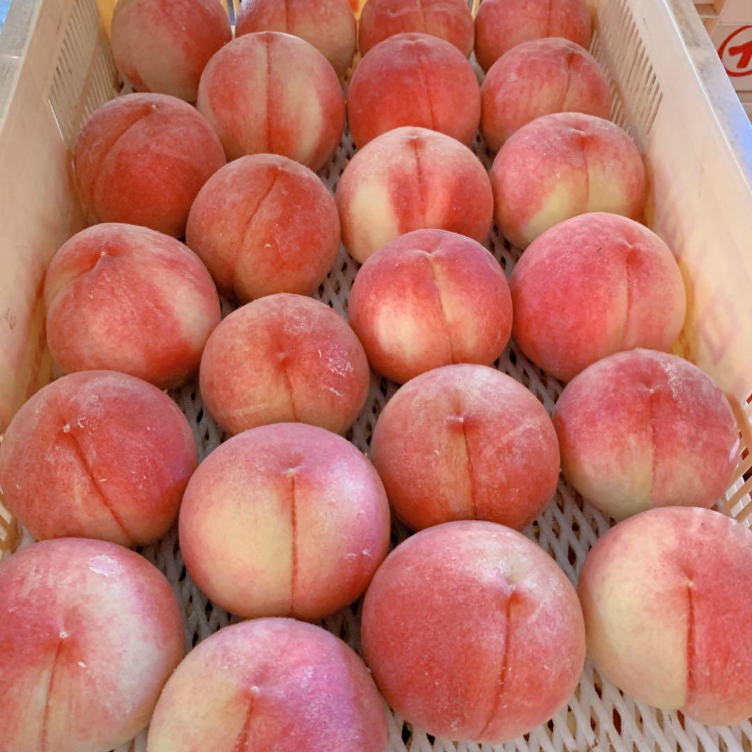 よっしー　山梨一宮産の山路で獲れた美味しい桃　特大2キロ箱に6個⭐︎
