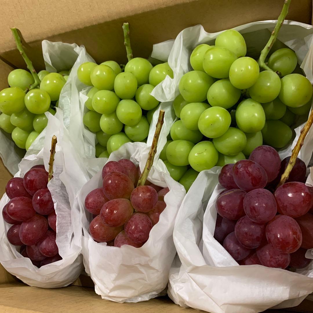 信州　大房シャインマスカット＆希少クイーンルージュ®︎ （3キロ）