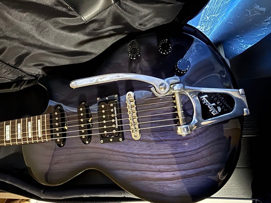 ESP カスタムオーダー　レスポールエレキギター