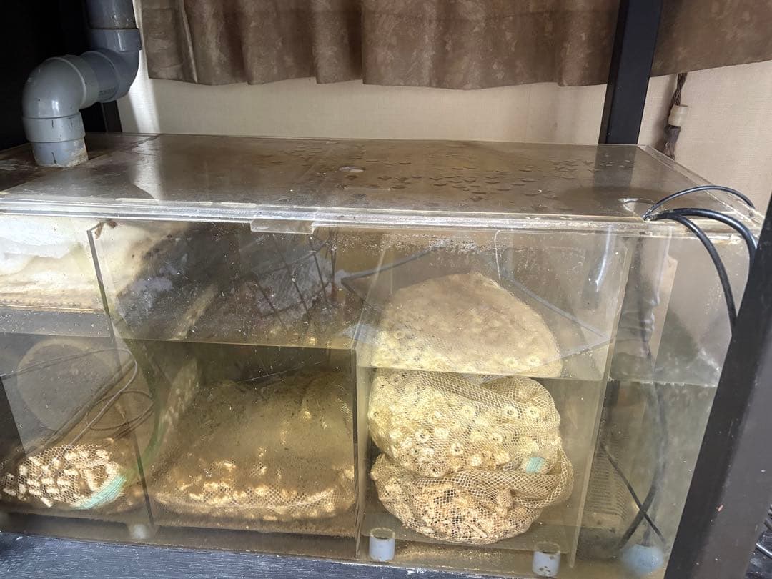 1800.600.600.アクリルオーバーフロー水槽