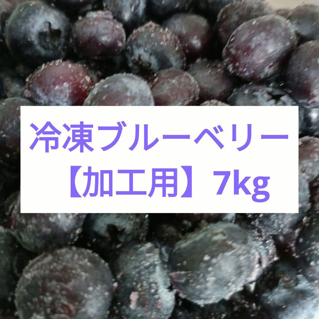 冷凍ブルーベリー 　　　　　　　　　　　【加工用】7kg