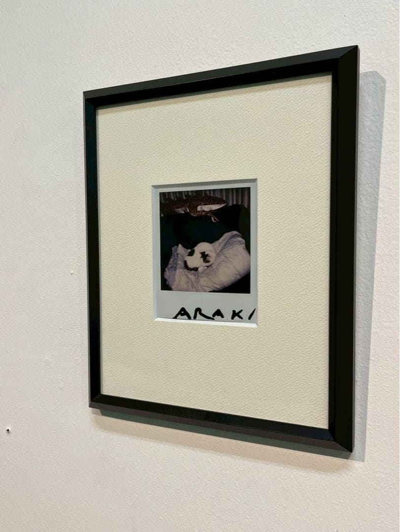 荒木経惟 ポラロイド写真 ヌード サイン入