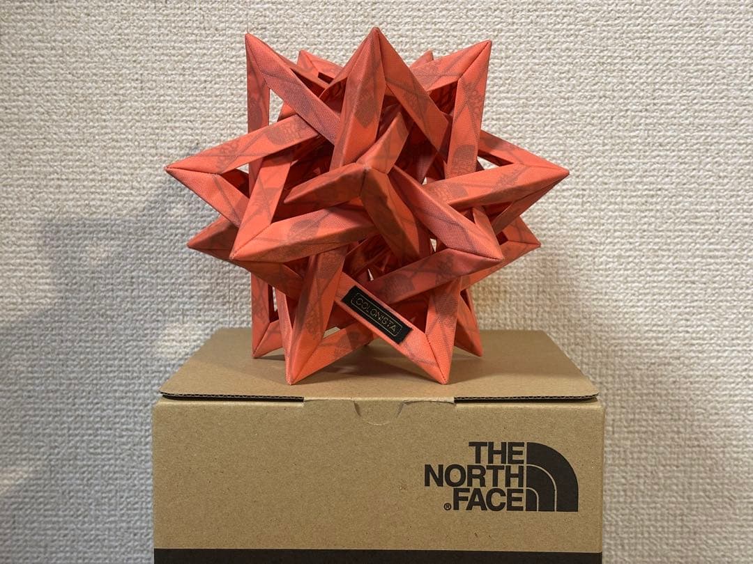 コロニスタ×ノースフェイス conpe10