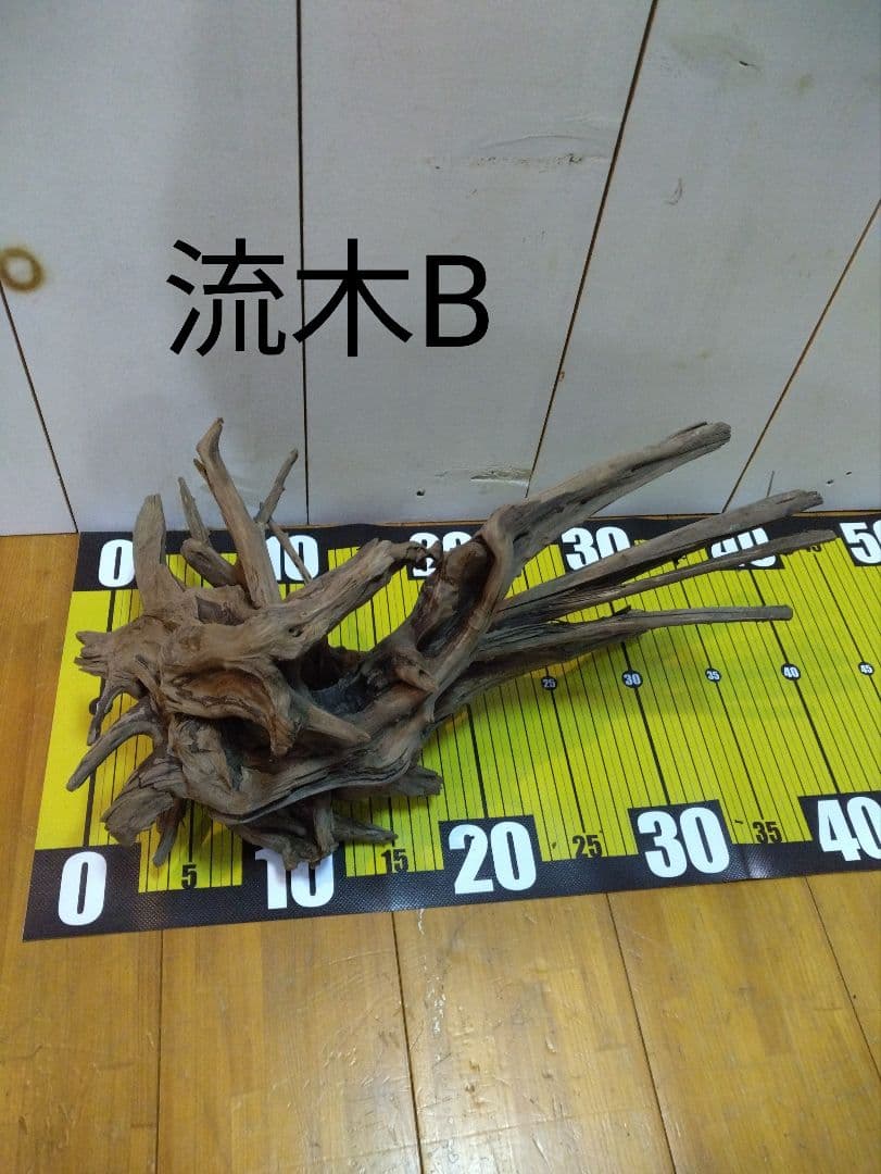 【送料無料、早い者勝ち】良型流木4点セット