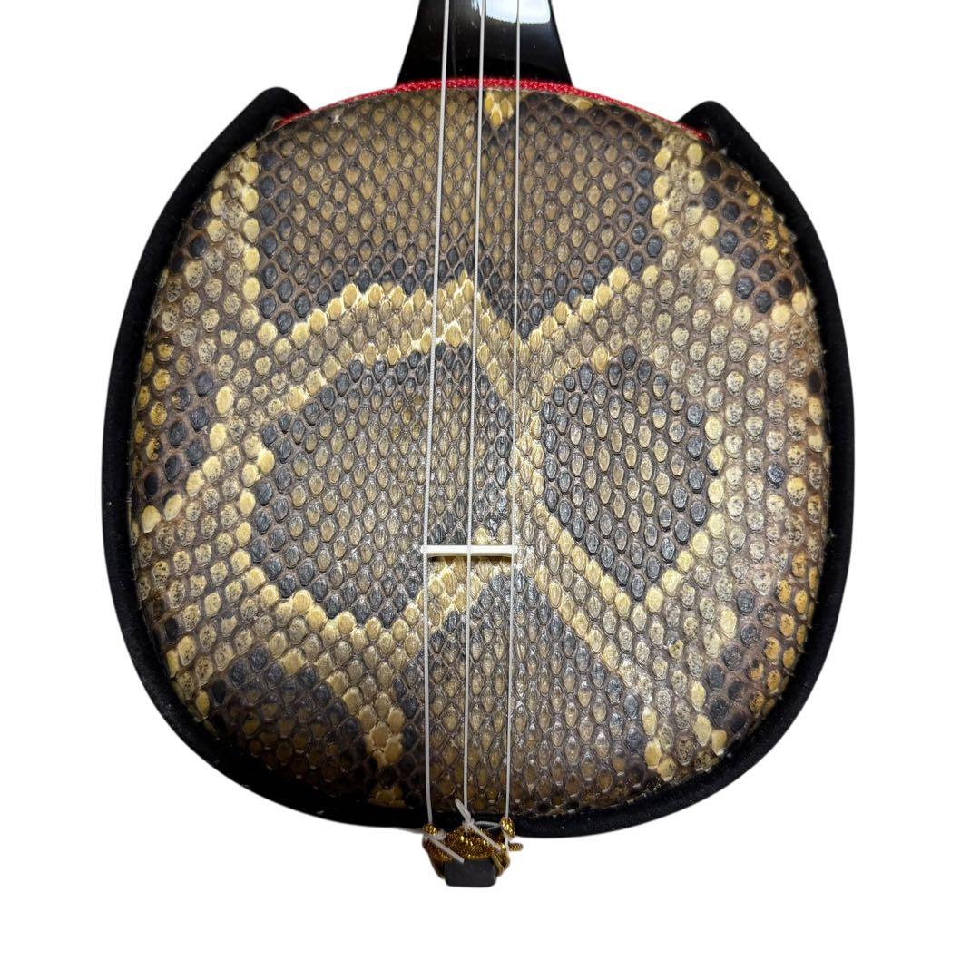 【美品フルセット】沖縄三味線 蛇本皮 強化張り ZENONケース付 119-3