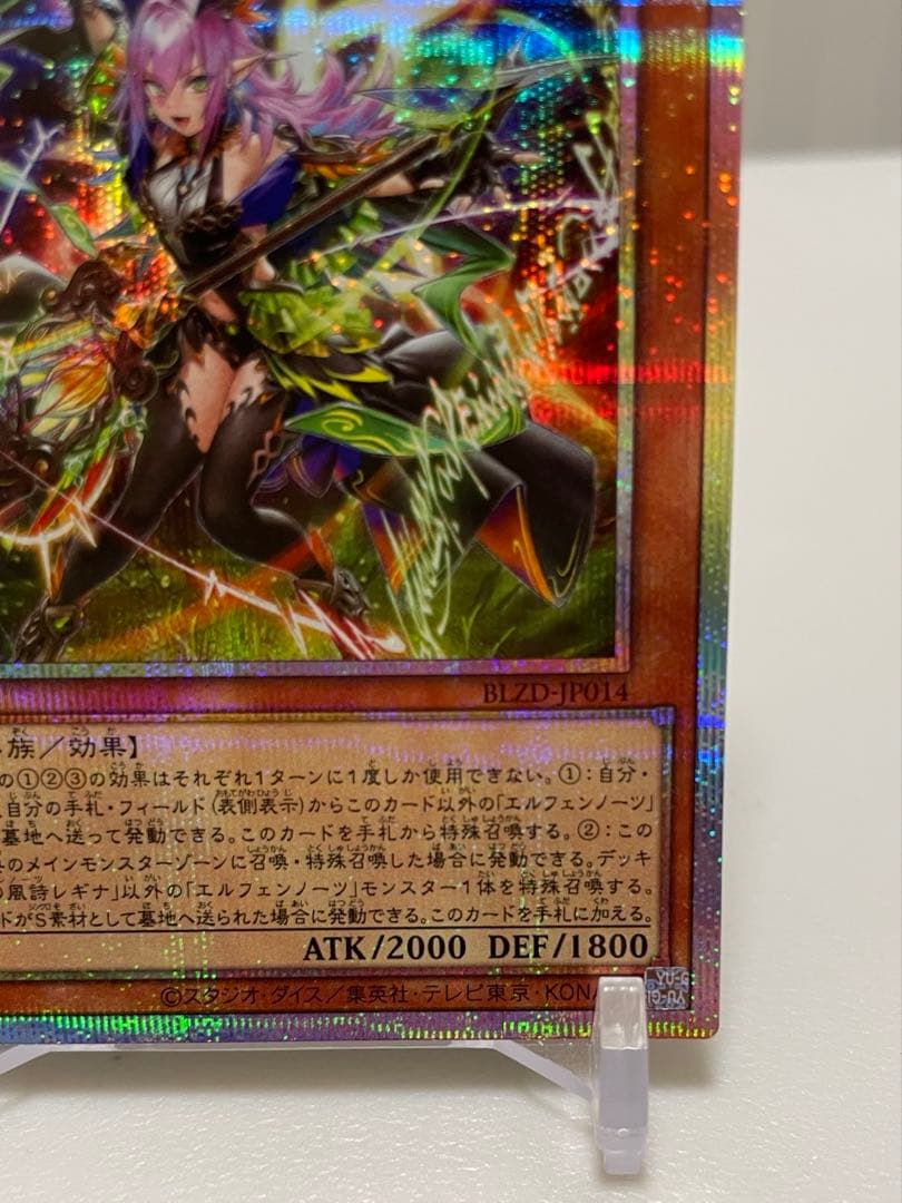 【最安値】エルフェンノーツ　レギナ　プリシク