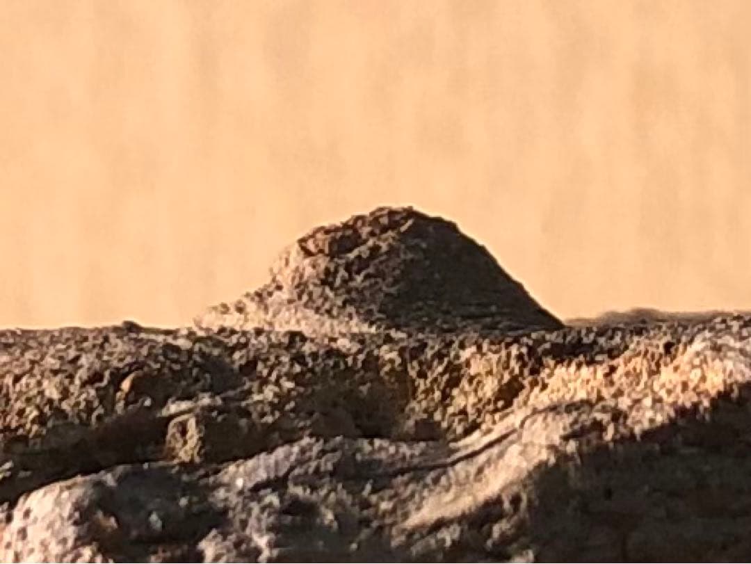 「板状土偶の破片」です。