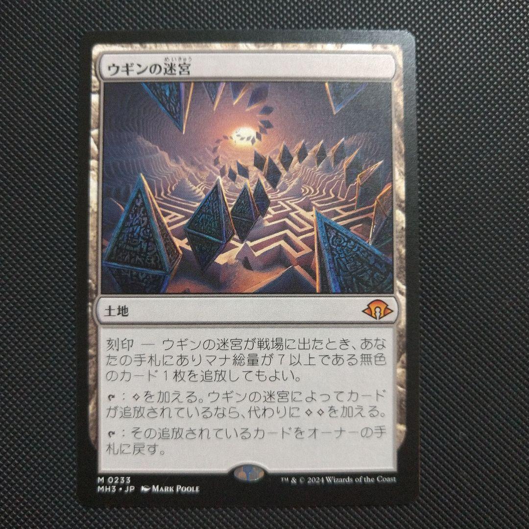 ウギンの迷宮 1枚