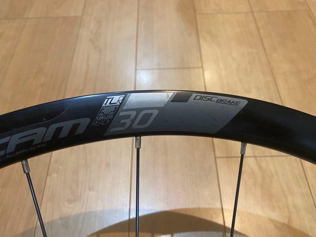 vision team 30 disc ホイール