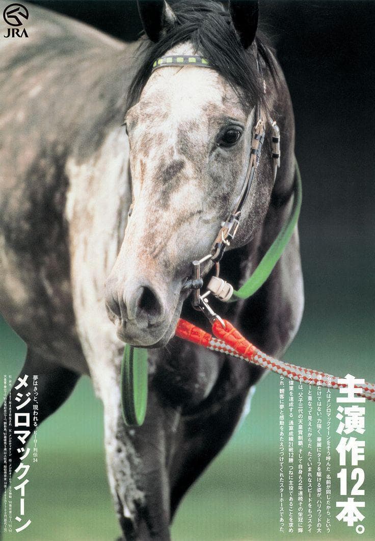 【非売品】メジロマックイーン ポスター B3サイズ 競馬ヒーロー列伝ウマ娘馬