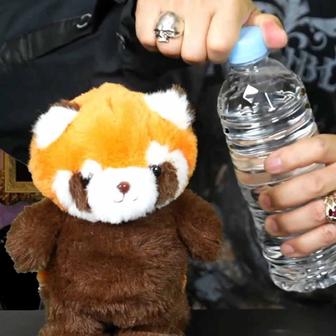 l'arc-en-ciel hyde 誕生祭 バッグ＆レッサーパンダ 合計4点