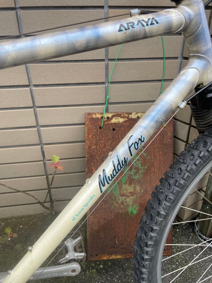 アラヤ　マディフォックス