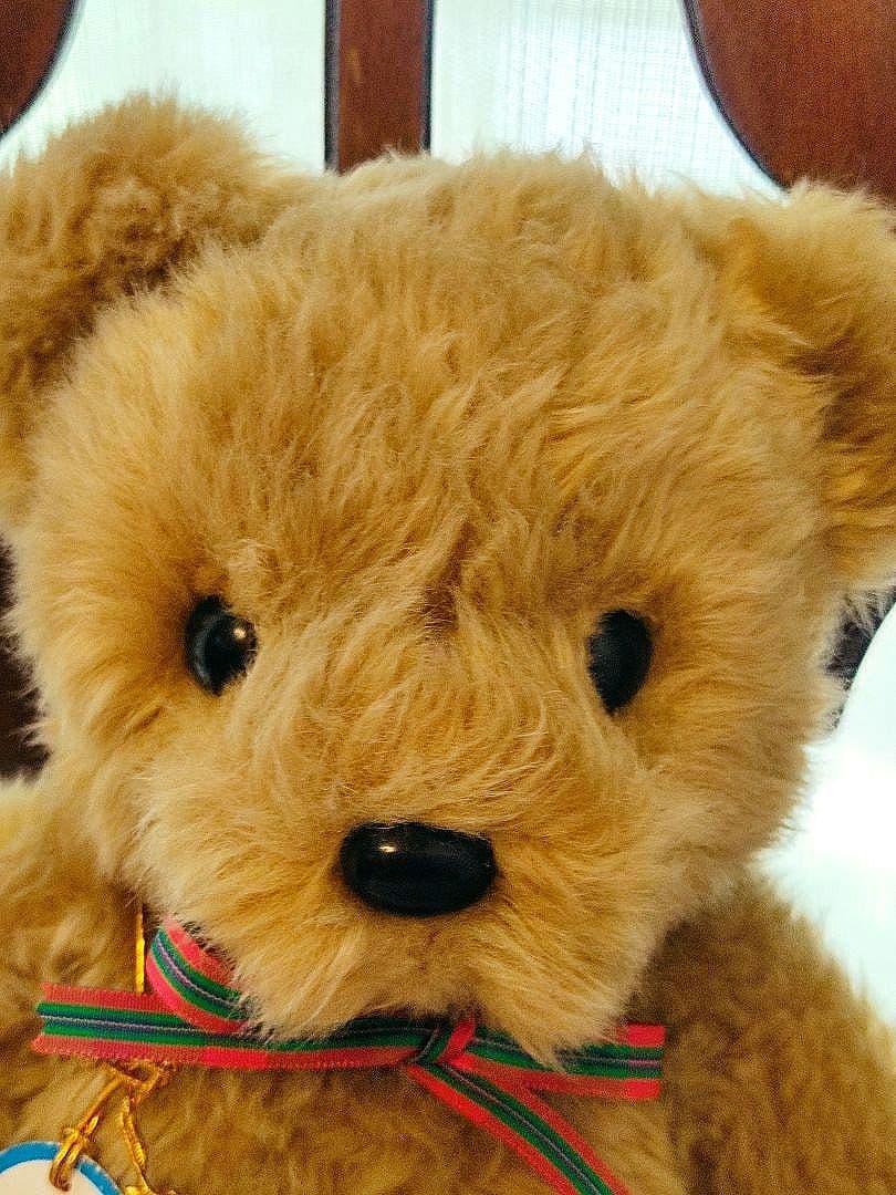 ファースト ファースト社　テディベア　クマ　 昭和　レトロぬいぐるみ