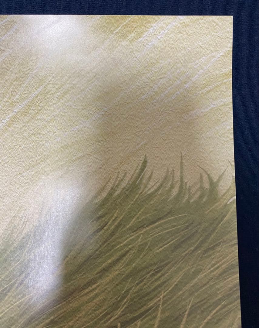 【激レア】非売品　ジブリ　となりのトトロ 海外ポスター大　中国版A　宮崎駿