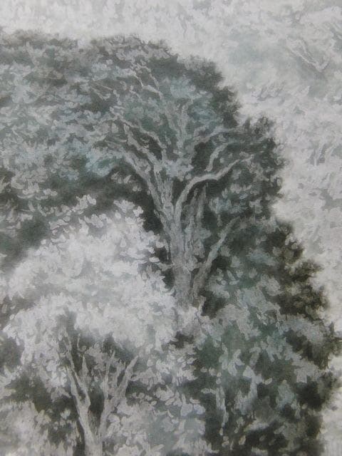 川崎鈴彦、【樹々】、希少な額装用画集画、新品高級額 額装付、状態良好