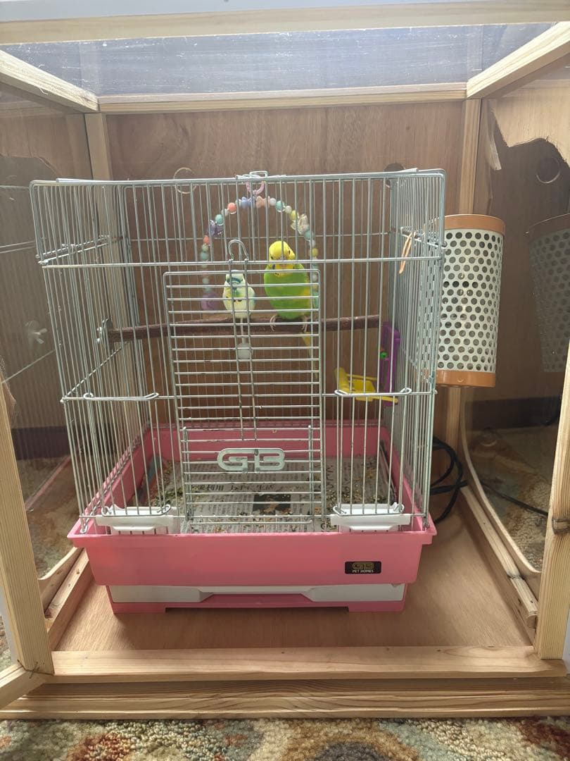 ハンドメイド　バード保温・防音箱