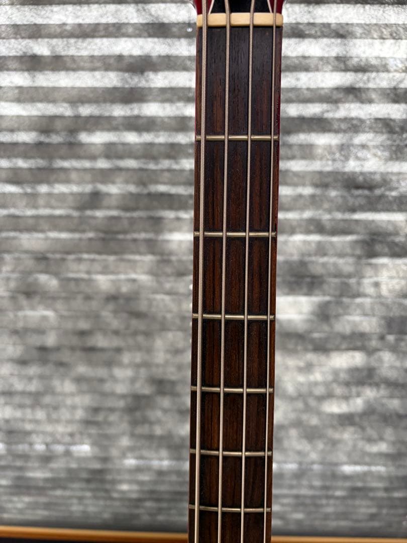 ラムシー！EDWARDS Ｊベース　ルナシー