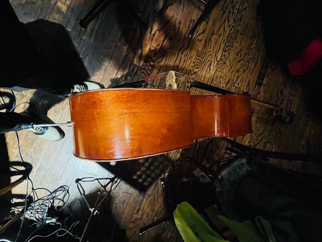 Oriente HO-20スピロコア弦 リアリストピックアップソフトケース付