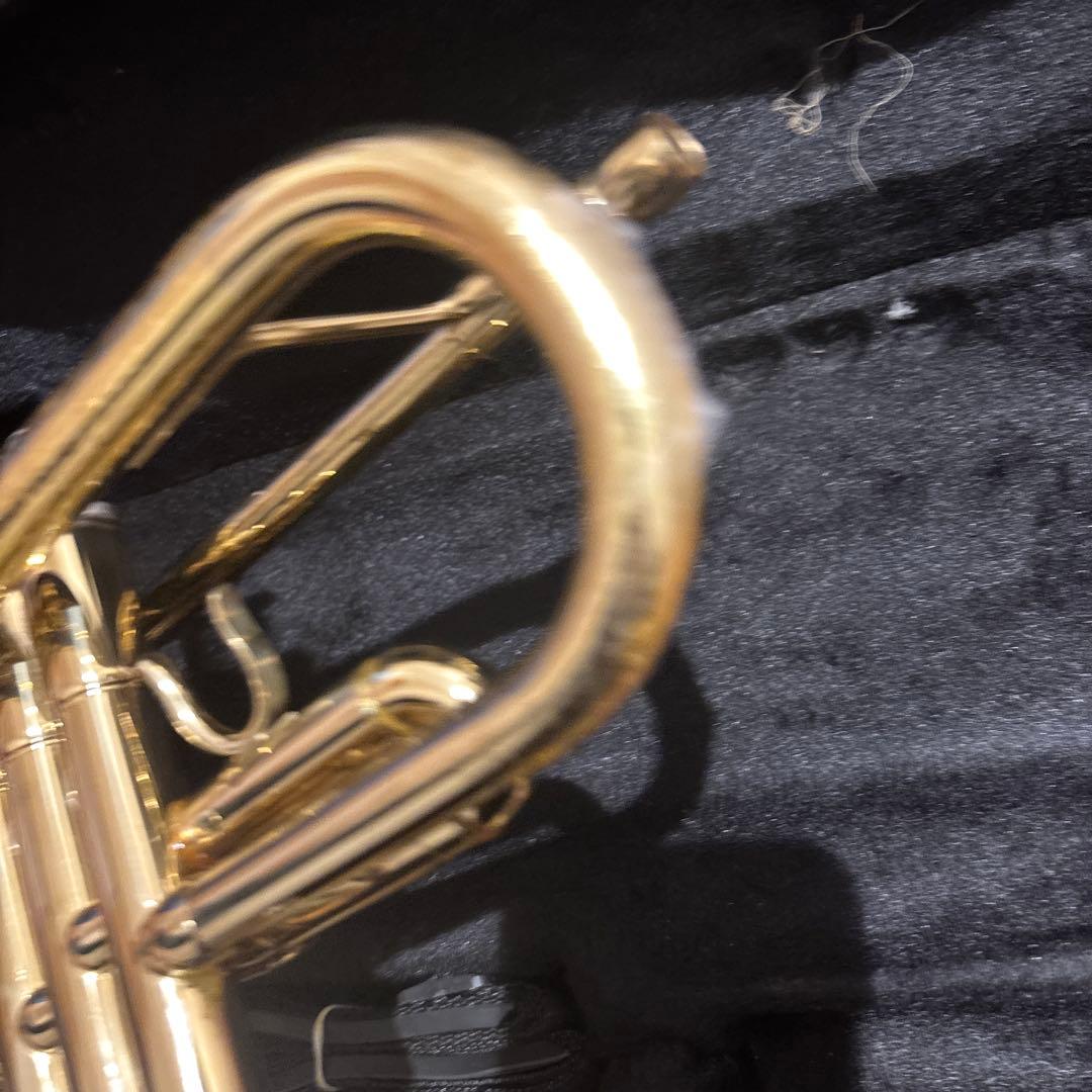 uoouwe トランペット マウスピース付き　専用ケース