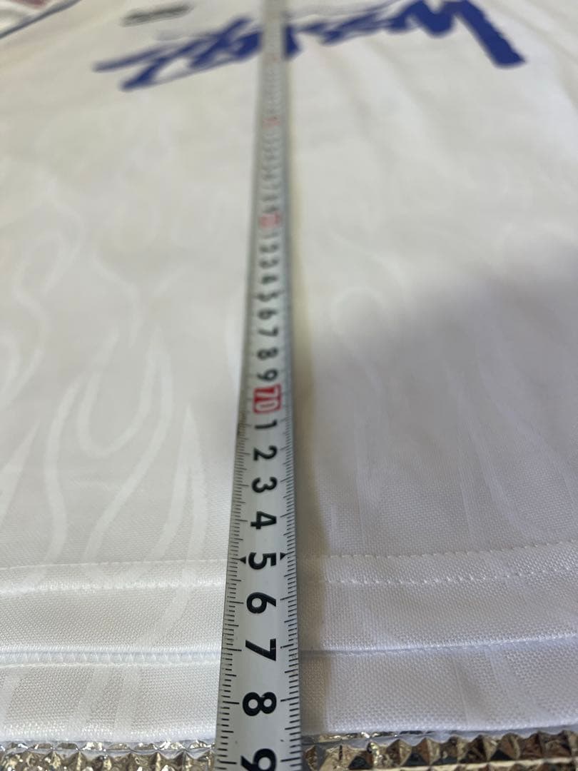 Stussy 日本代表 長袖シャツ Lサイズ