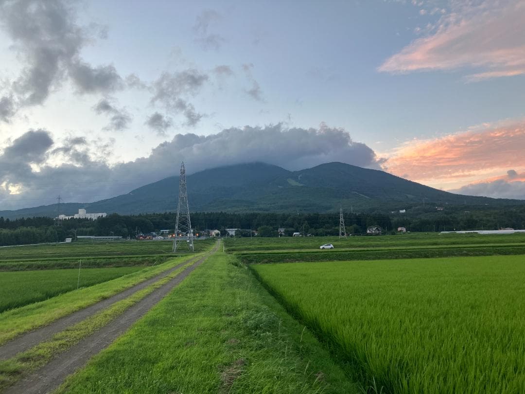 奇蹟の米「ゆうだい21」　精米27㎏　格安販売　(送料無料)