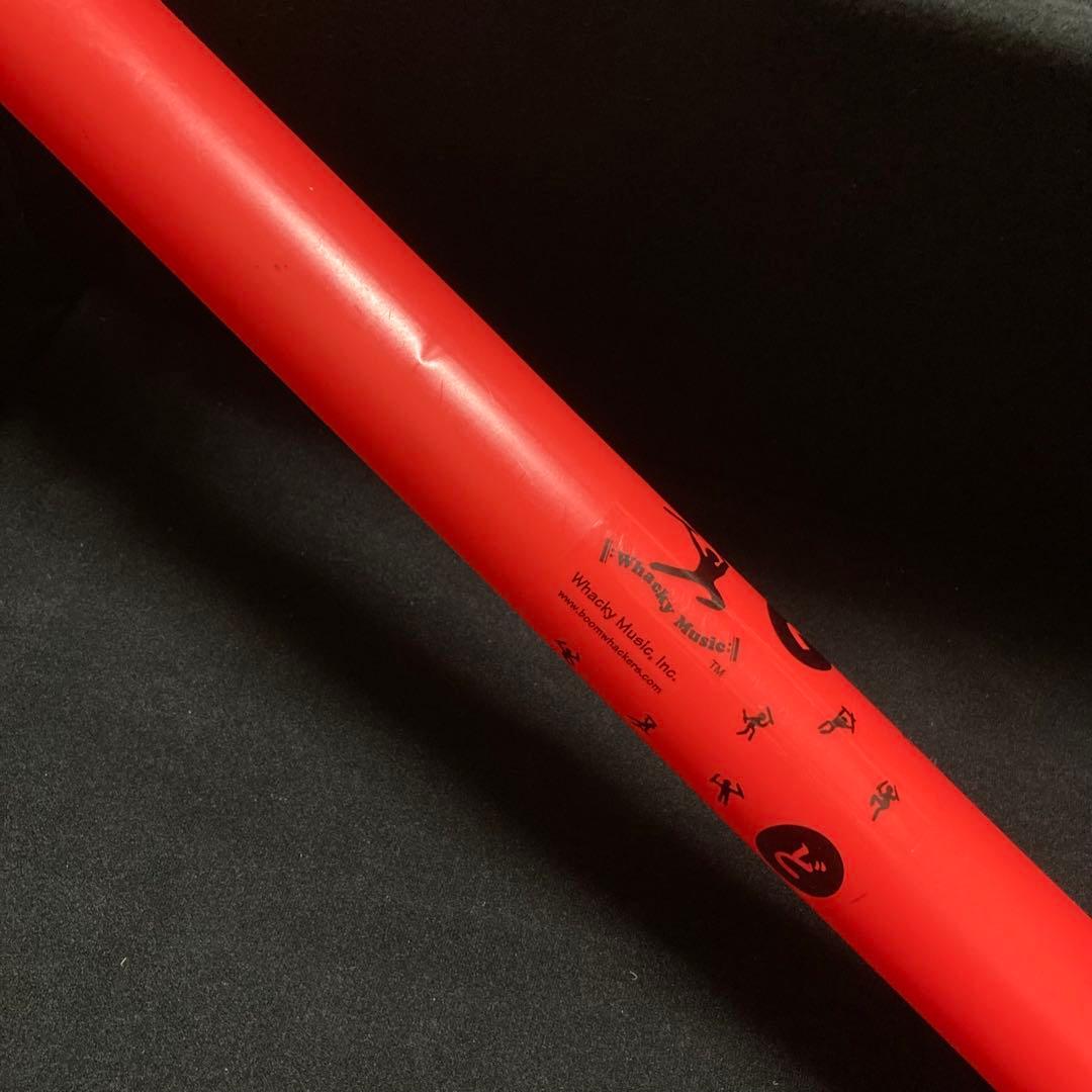 ドレミパイプ 音楽　リトミック　ブームワッカー　アメリカ　知育　デイサービス