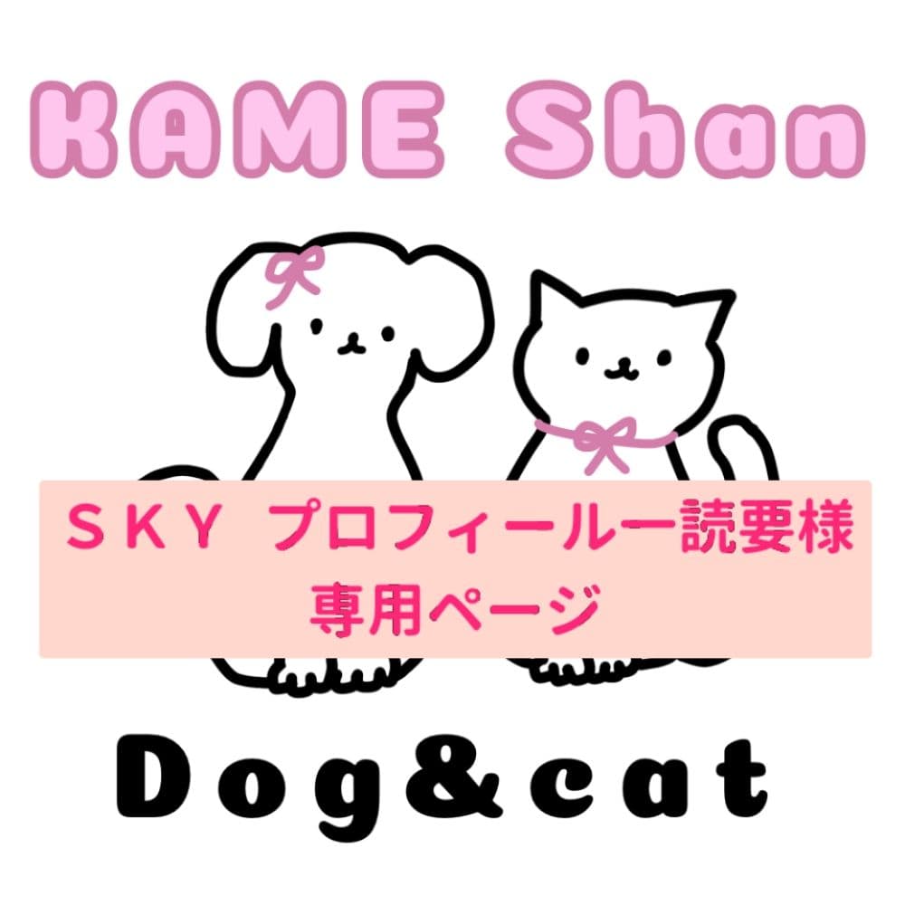 SKYページ
