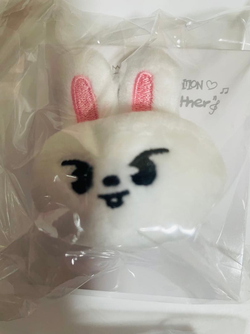 スキズ　 ぬいぐるみリング 展示会　エキシビジョン　6個セット　クォッカ　ジニ