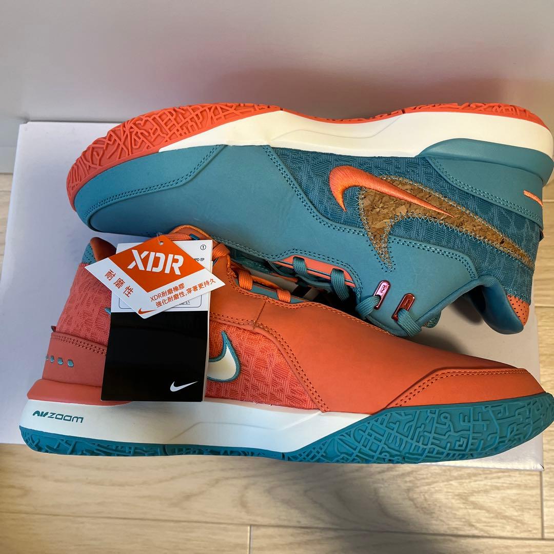 シューズ(男性用) NIKE LEBRON NXXT GEN