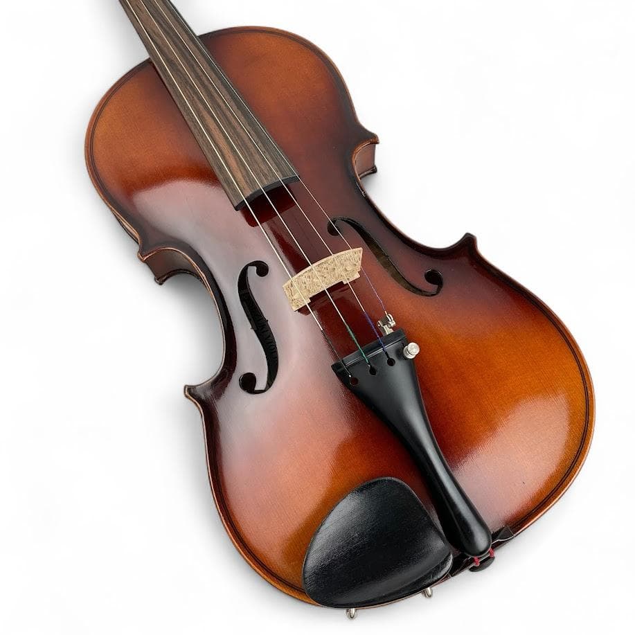 極美品●鈴木バイオリン No.10 4/4 1960年製 青ラベル 極虎杢 良音