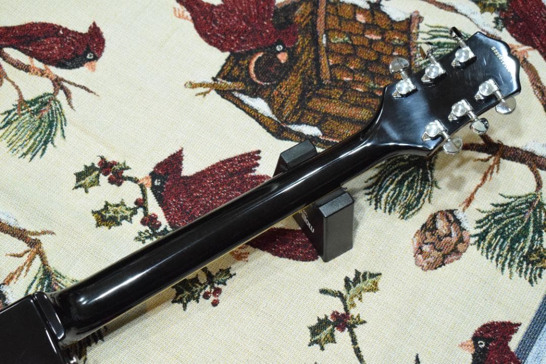 Epiphone WILDKAT TB 純正ハードケース付