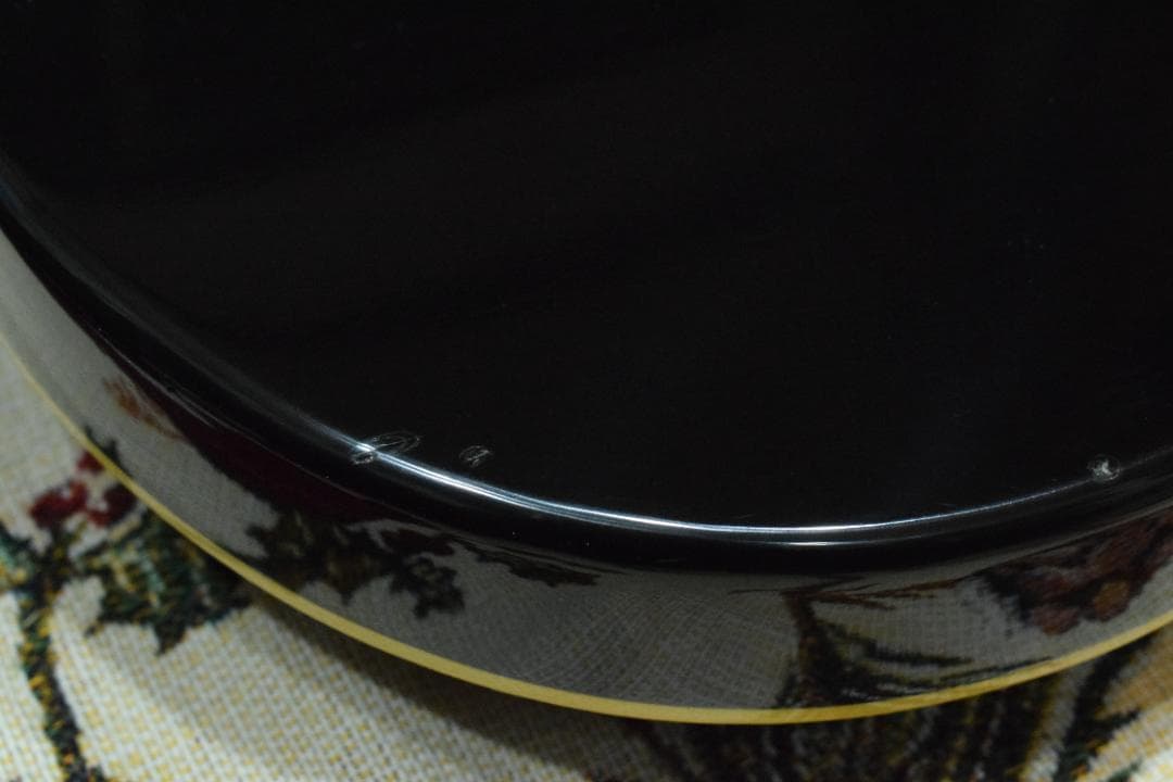 Epiphone WILDKAT TB 純正ハードケース付